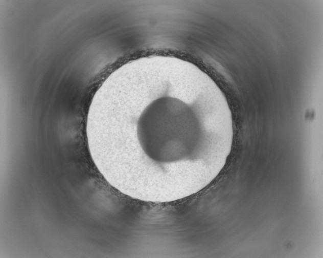 X0000091910824200709051416