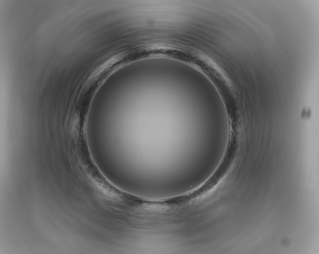 X0000091910825200709051416