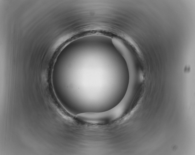 X0000091910826200709051416