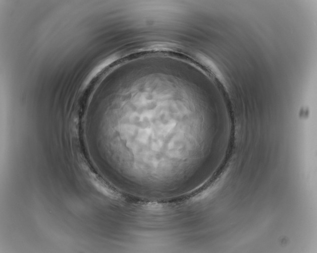 X0000091910827200709051416
