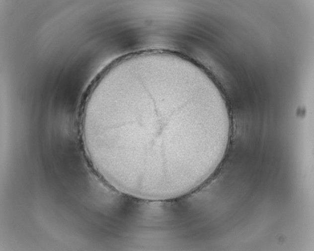 X0000091910828200709051416