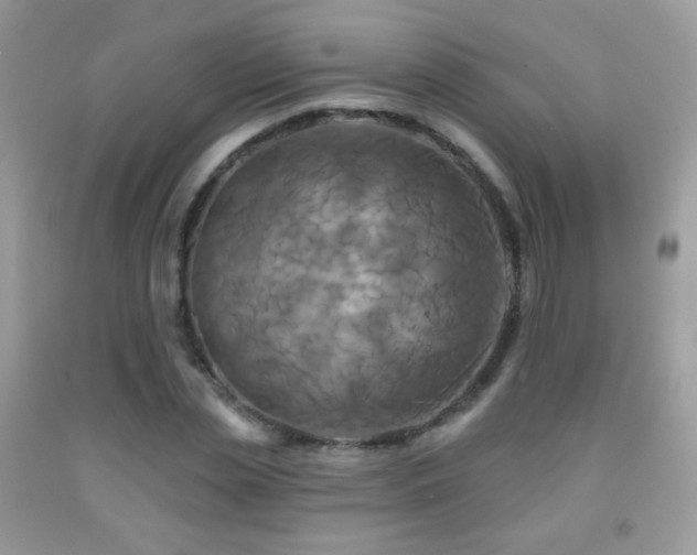 X0000091910829200709051416