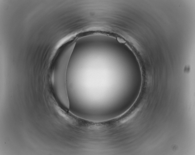 X0000091910830200709051416