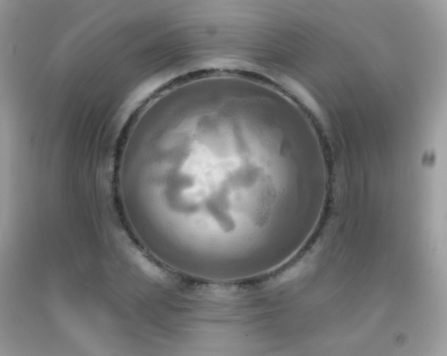 X0000091910831200709051416