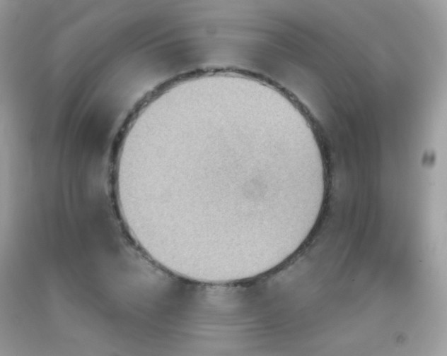 X0000091910832200709051416