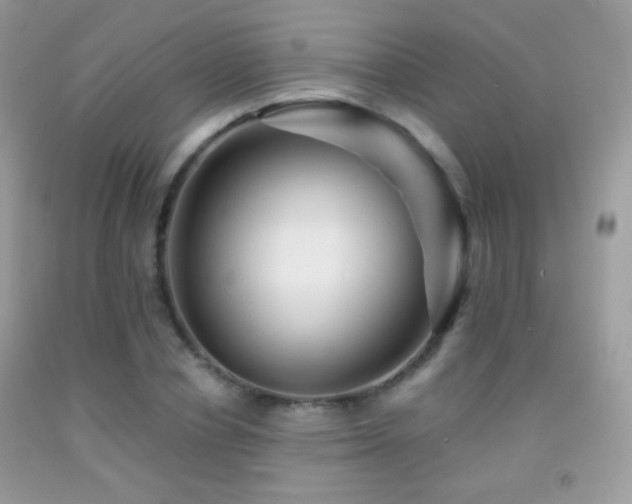 X0000091910834200709051416