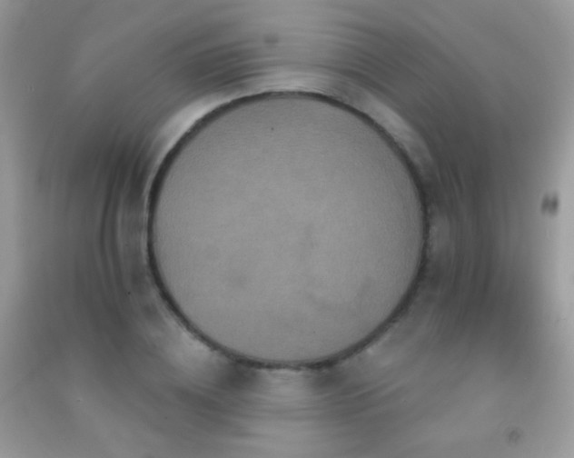 X0000091910836200709051416
