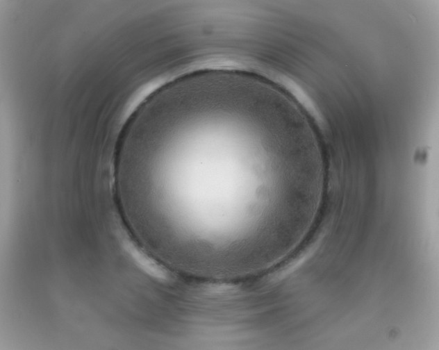 X0000091910837200709051416