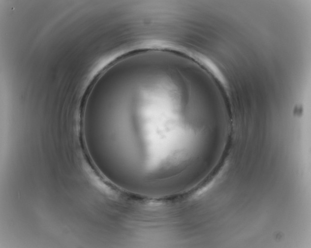X0000091910839200709051417