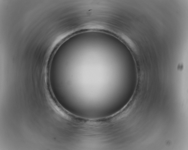 X0000091910840200709051417