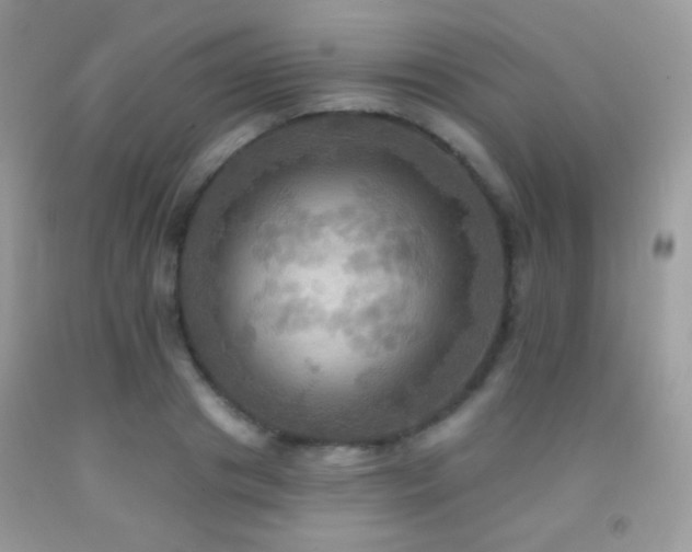 X0000091910841200709051417