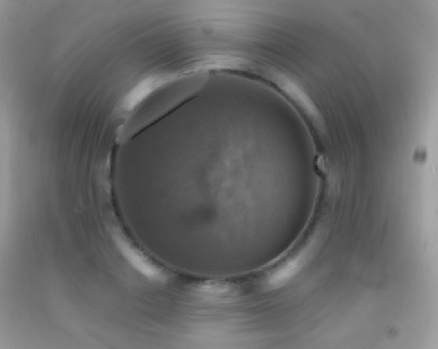 X0000091910842200709051417