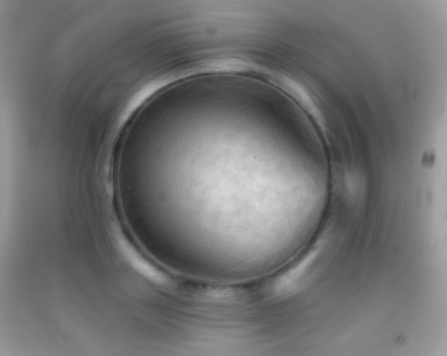 X0000091910843200709051417
