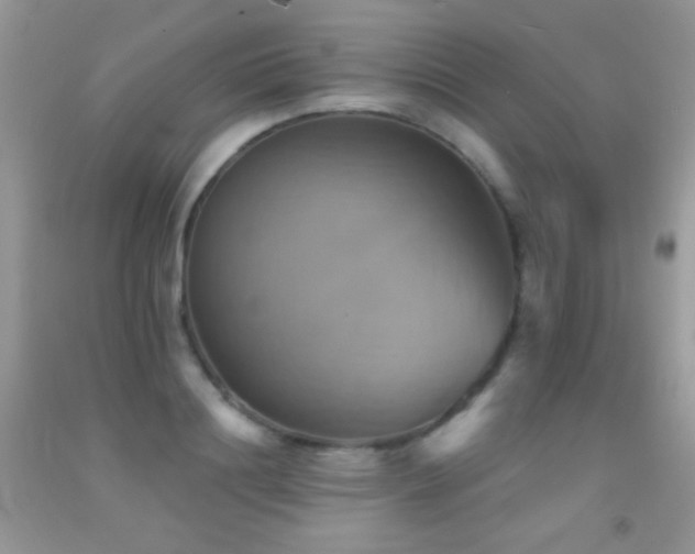 X0000091910844200709051417
