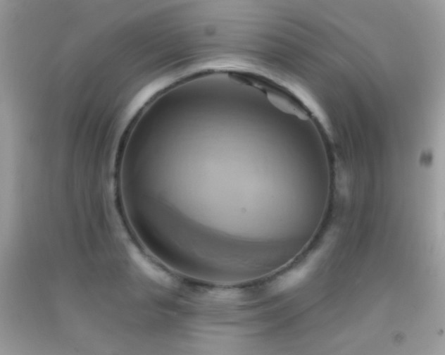 X0000091910845200709051417