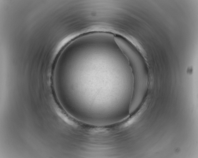 X0000091910846200709051417