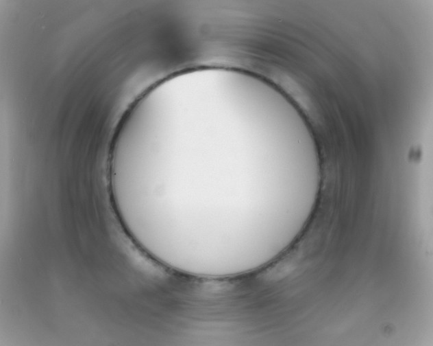 X0000091910848200709051417
