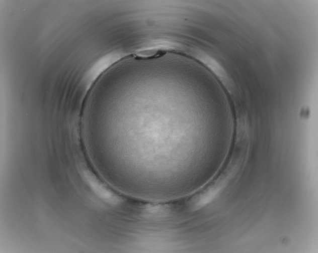 X0000091910850200709051417