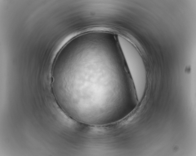 X0000091910852200709051417