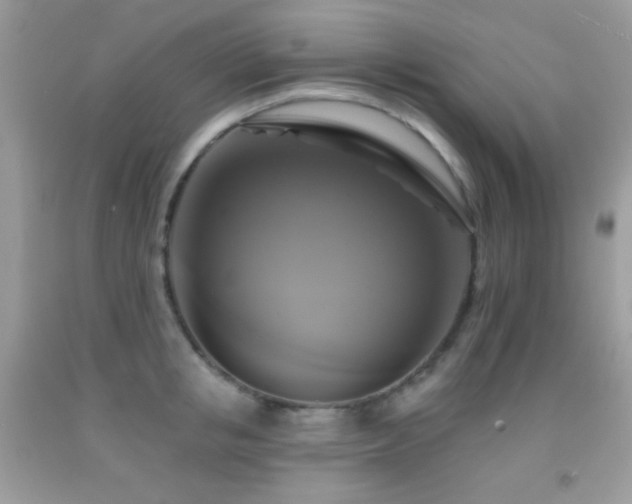 X0000091910853200709051417