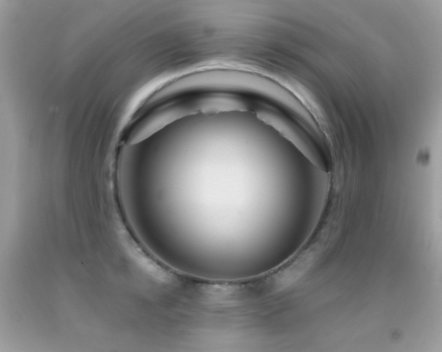 X0000091910854200709051417