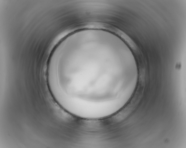 X0000091910856200709051417