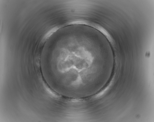 X0000091910857200709051417