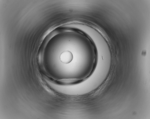 X0000091910858200709051417