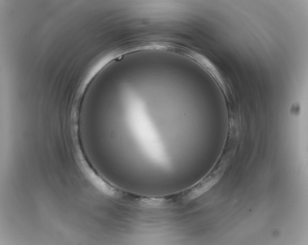 X0000091910859200709051417
