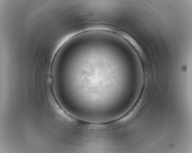 X0000091910860200709051417