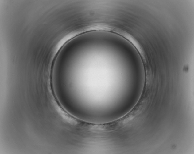 X0000091910861200709051417