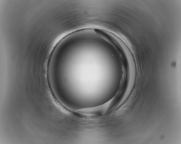 X0000091910862200709051417