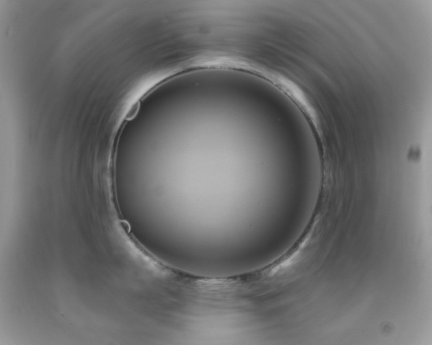 X0000091910863200709051417