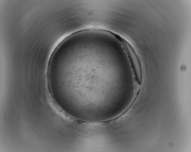 X0000091910864200709051417