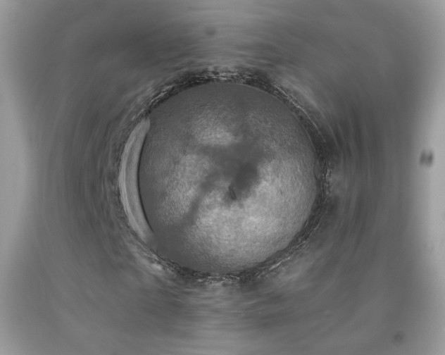 X0000091910865200709051416