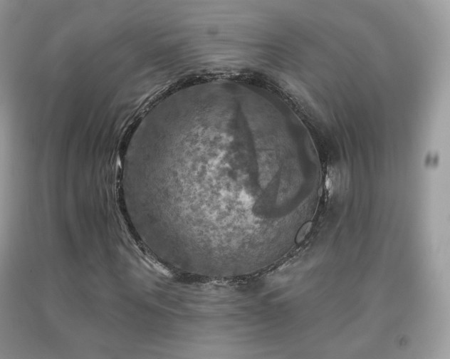 X0000091910867200709051416