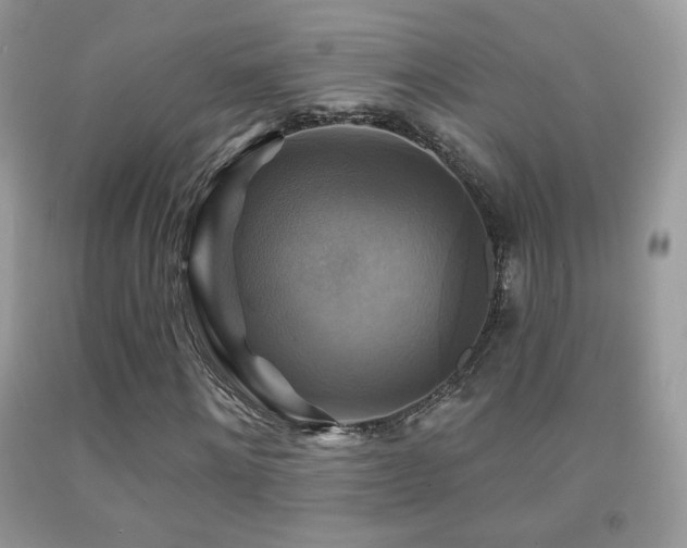 X0000091910868200709051416