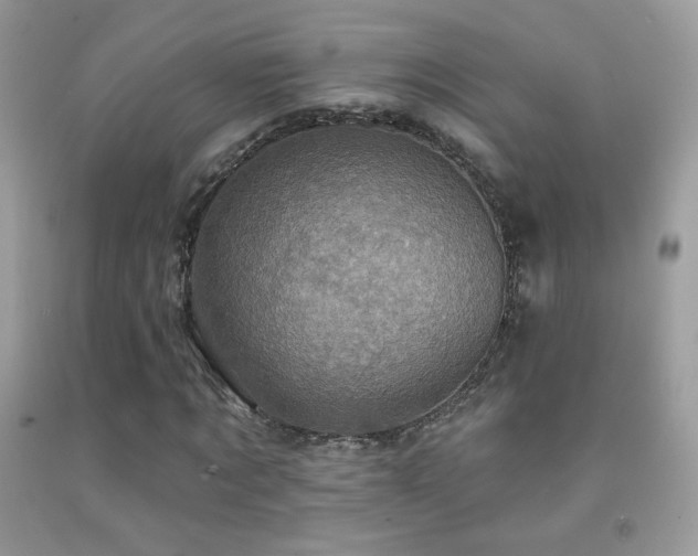 X0000091910869200709051416