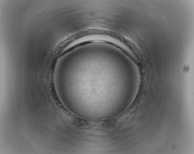 X0000091910870200709051416