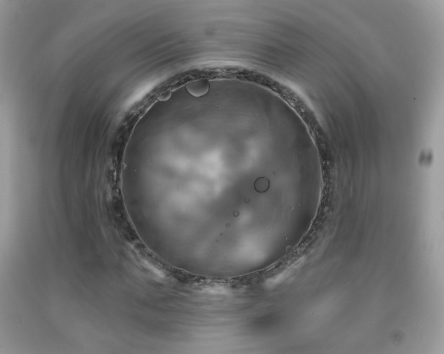 X0000091910871200709051416