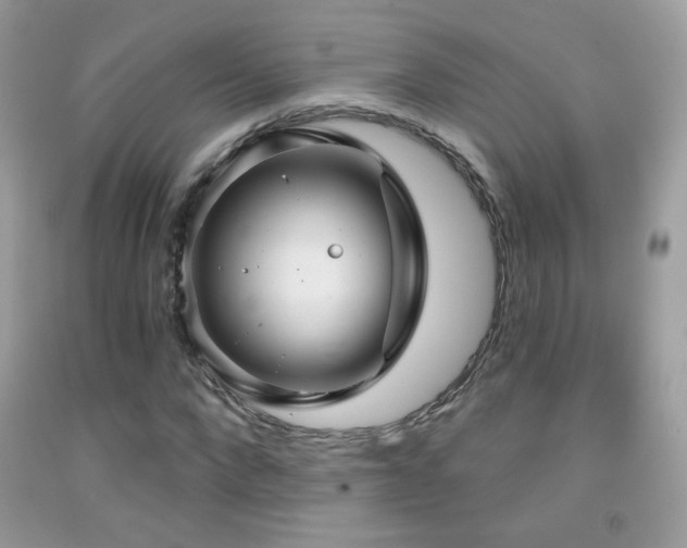 X0000091910872200709051416
