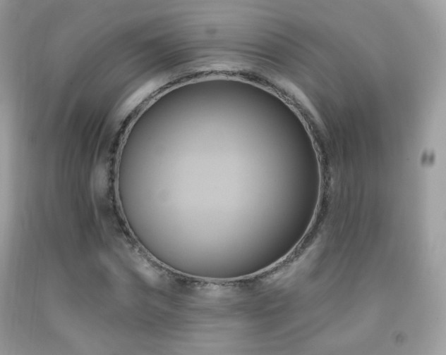 X0000091910874200709051416