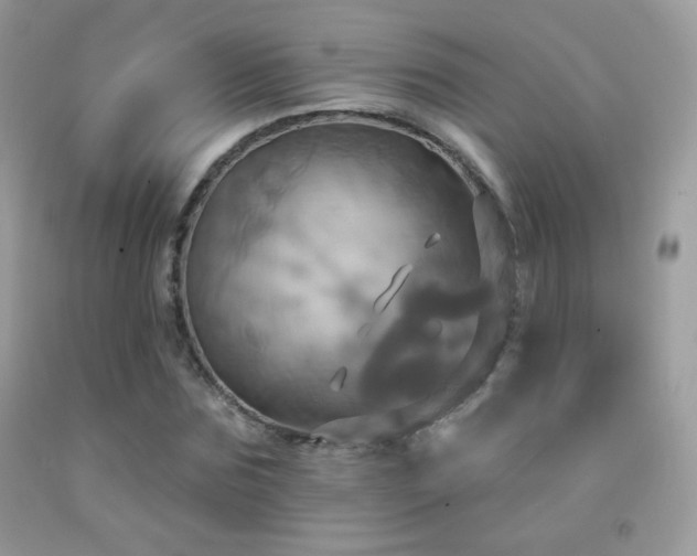 X0000091910875200709051416