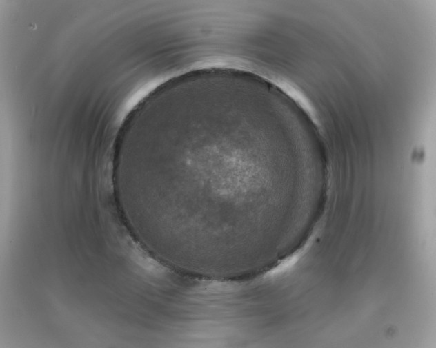 X0000091910877200709051416