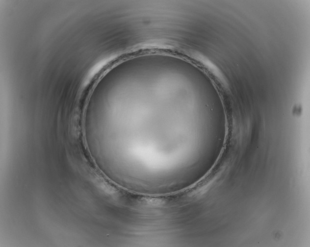 X0000091910878200709051416