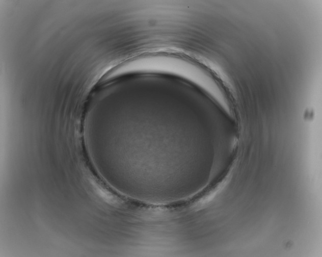 X0000091910881200709051416