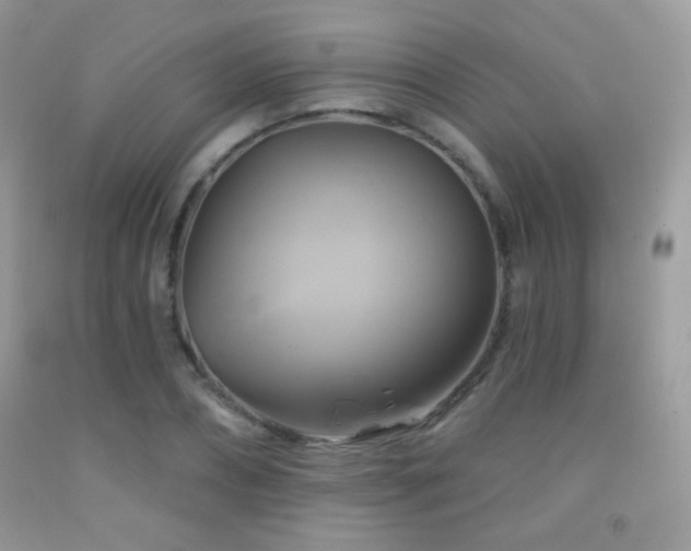 X0000091910882200709051416