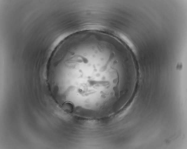 X0000091910883200709051416