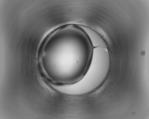 X0000091910884200709051416