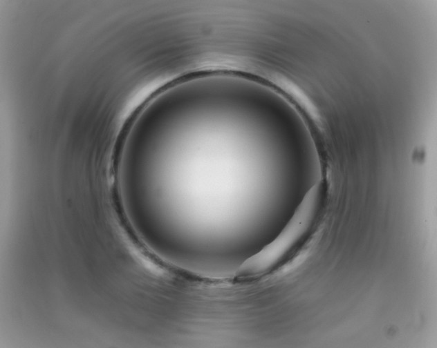 X0000091910885200709051416